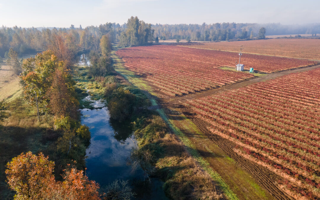 Next To 8952 Santiam Loop Rd Se