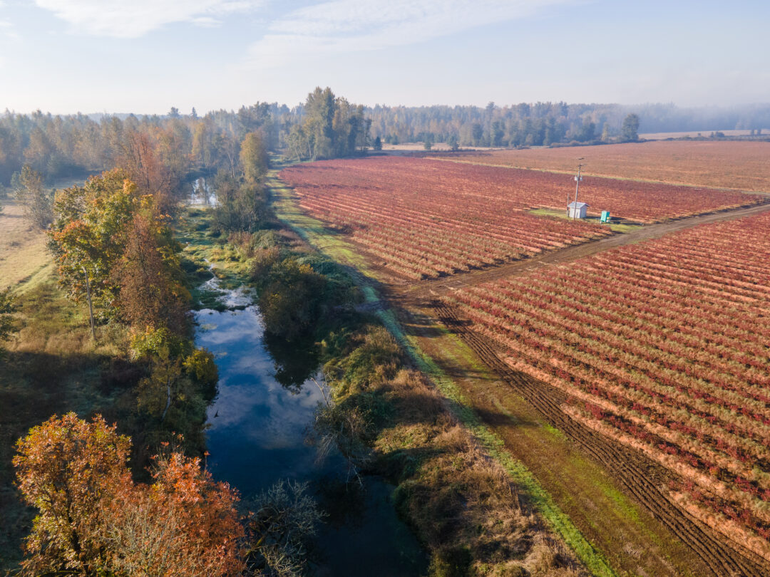 Next To 8952 Santiam Loop Rd Se