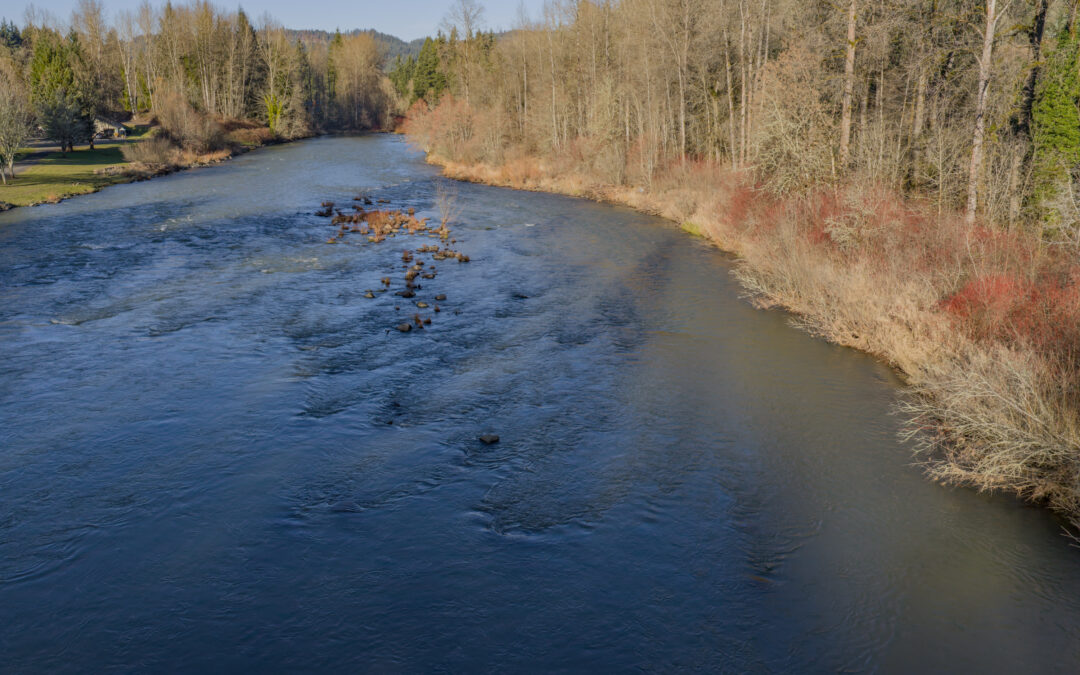 27914 Walkerwood Lane