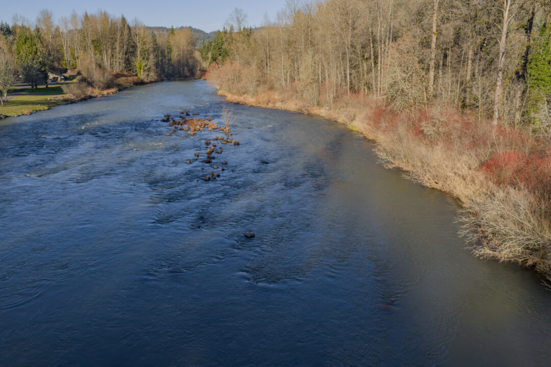 27914 Walkerwood Lane