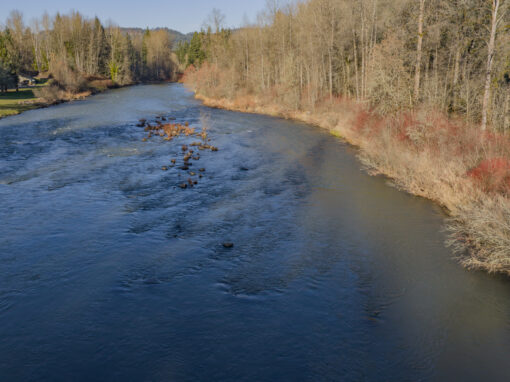 27914 Walkerwood Lane