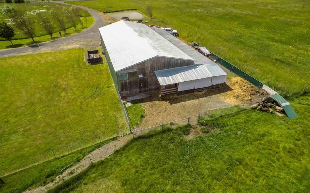 Farris Rd Sheep Farm