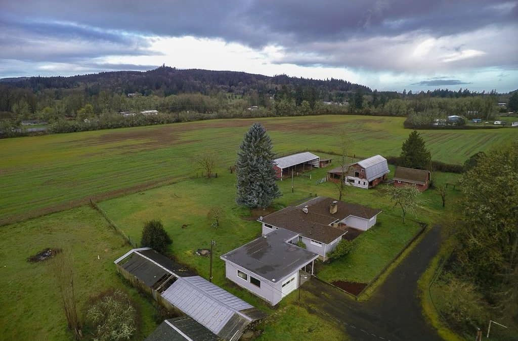 Santiam Highway Farm