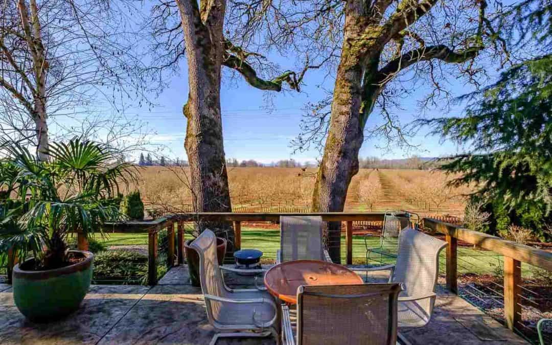 Turnkey Hazelnut Farm