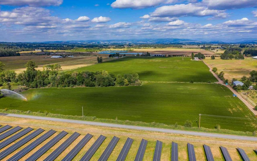 Marion Road Farm Property
