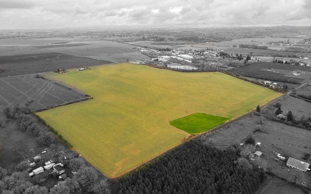 Jefferson Scio Rd 113.87 Acres