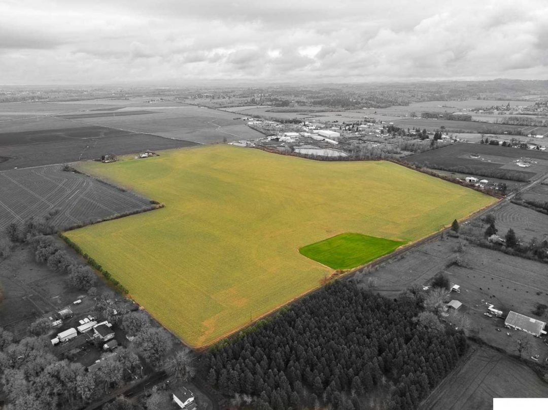 Jefferson Scio Rd 113.87 Acres