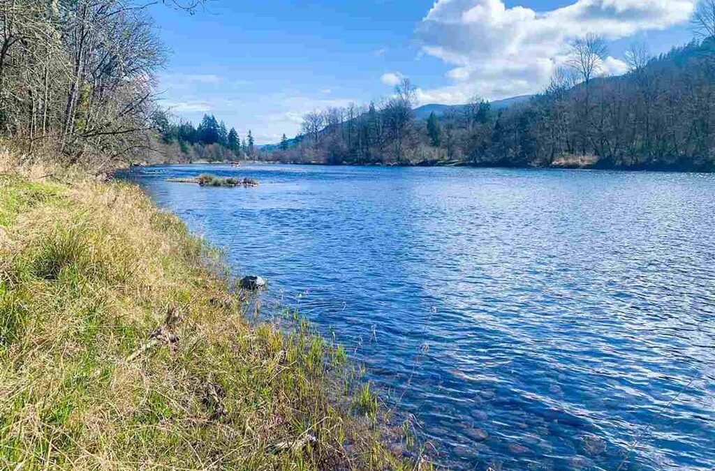 McKenzie Hwy, Springfield