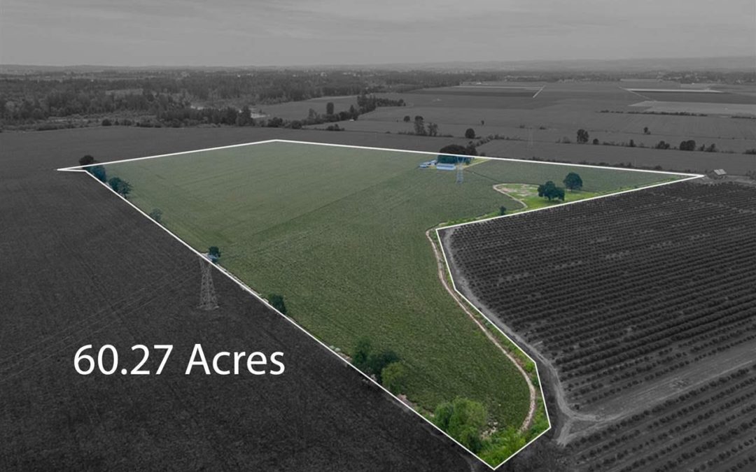 37225 Jefferson Scio Dr. Scio 97374 (Sale Pending)