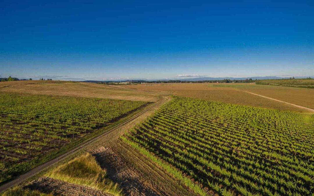 4685 Elliott Circle Corvallis **Sold*