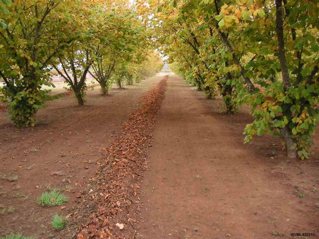 35023 Freemont Av **SOLD**