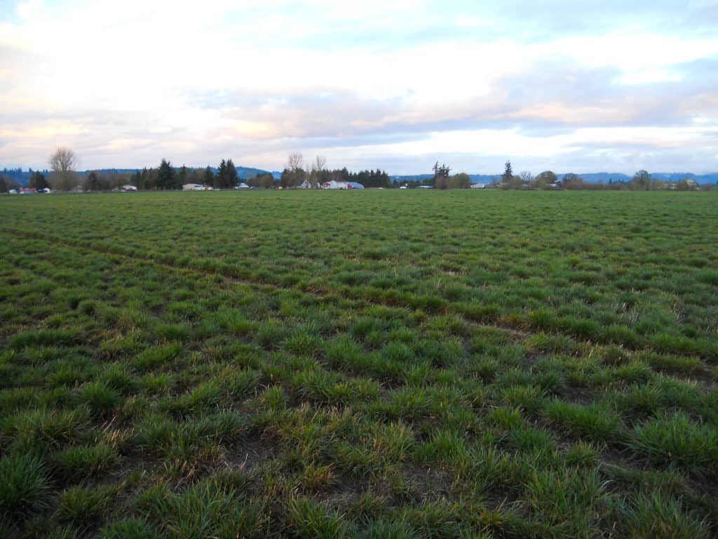 Crabtree Farmland in Oregon Farm & Ranch Real Estate in Oregon