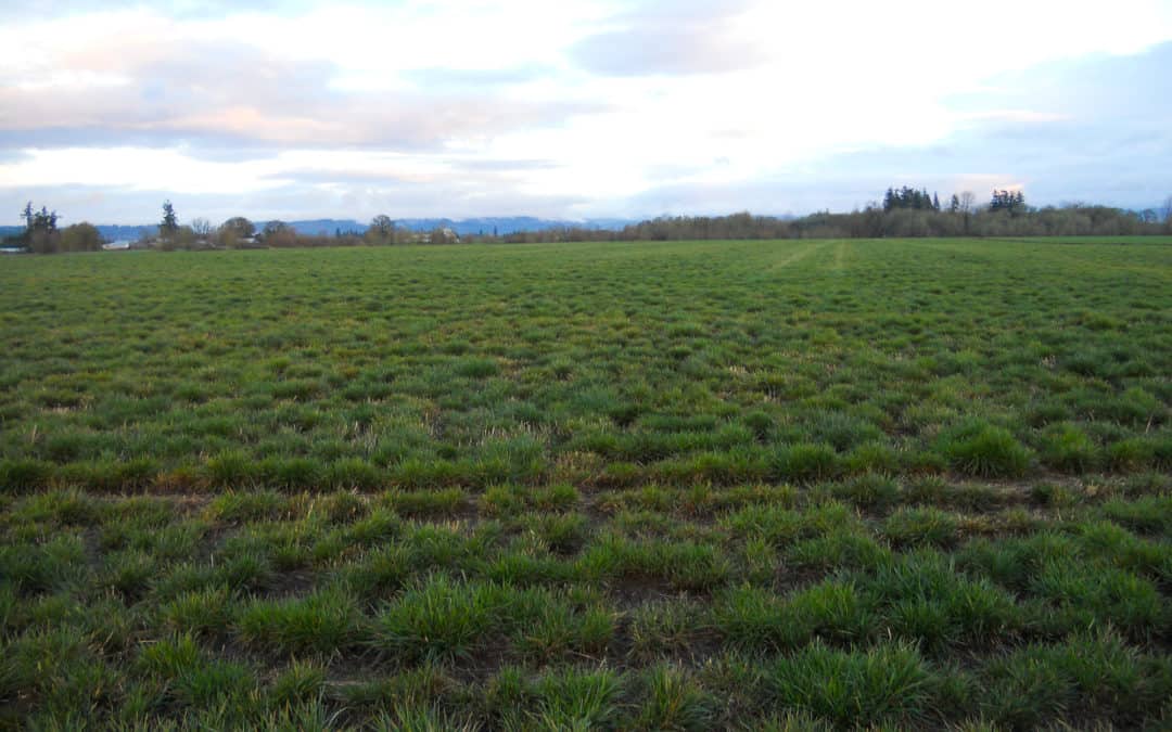 Crabtree Farm | Farmland in Oregon