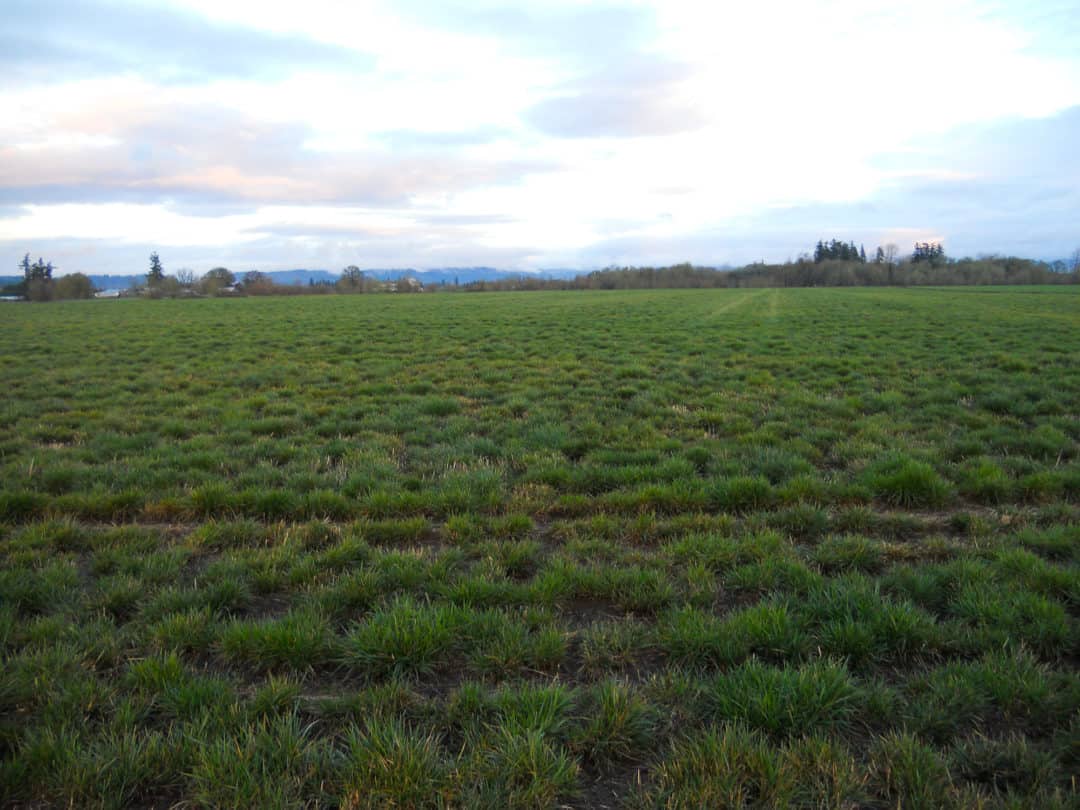 Crabtree Farm | Farmland in Oregon