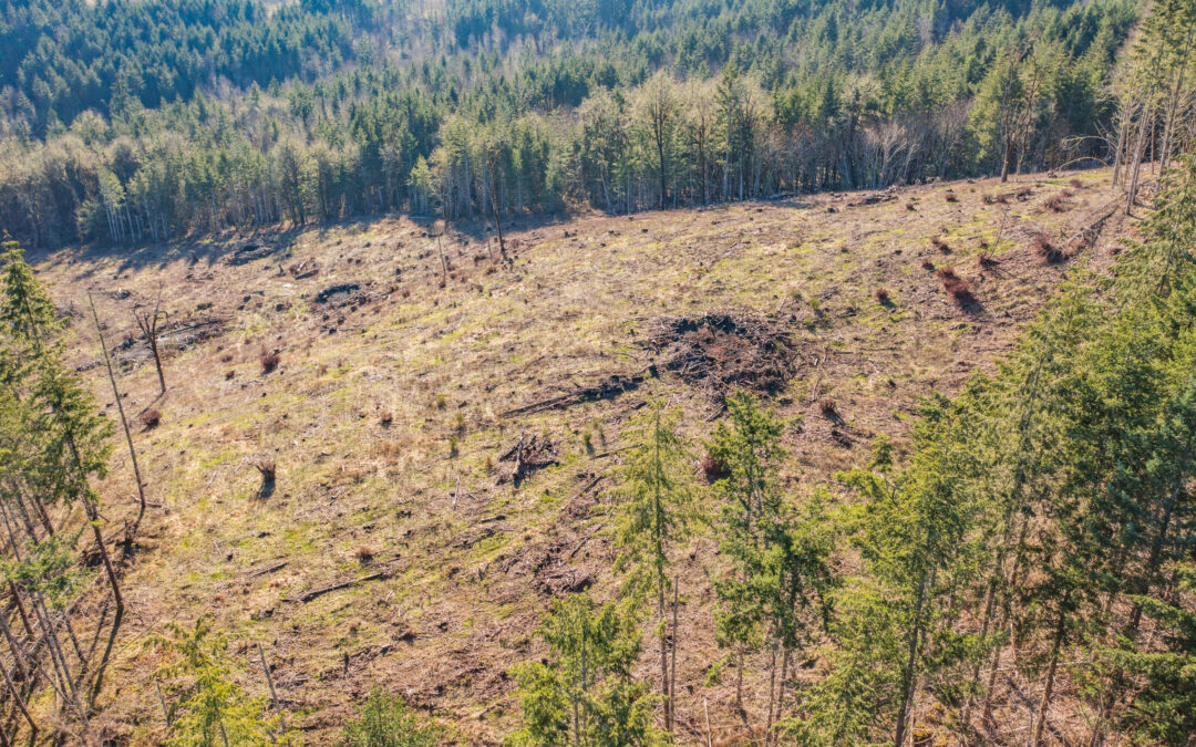 0 Airlie Road Monmouth, OR