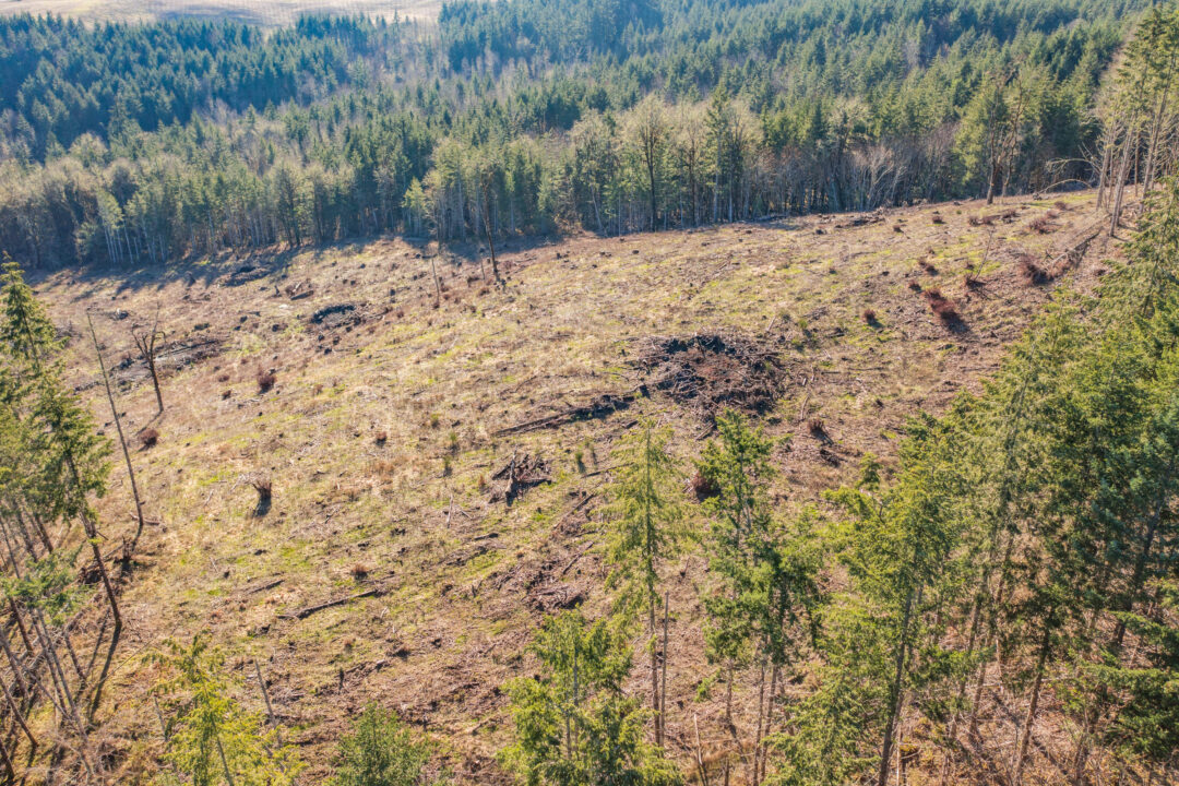 0 Airlie Road Monmouth, OR