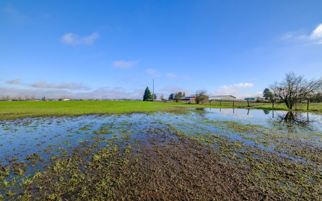 0 Milliron Road Junction City, OR
