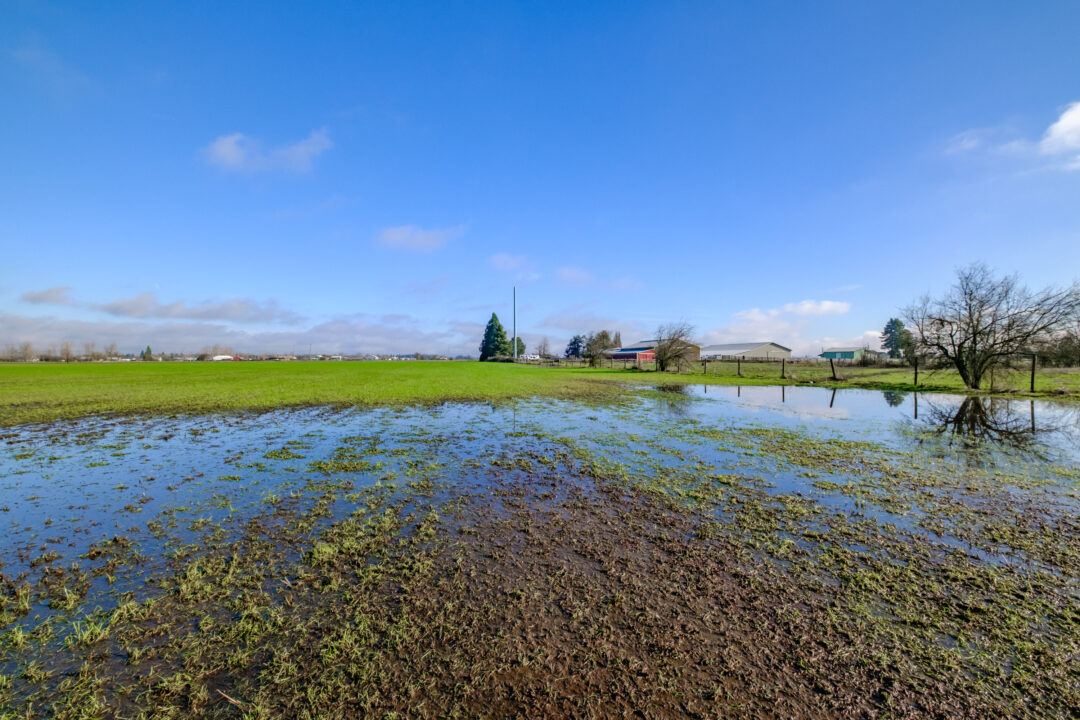 0 Milliron Road Junction City, OR