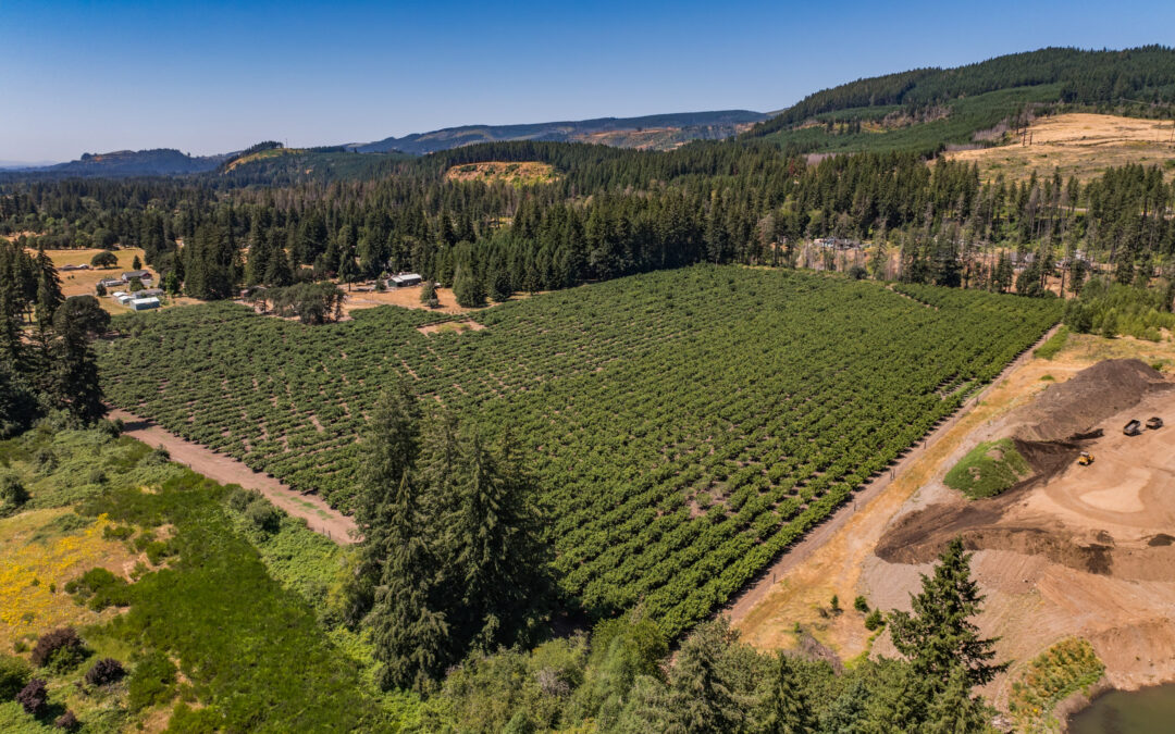 46759 Lyons Mill City