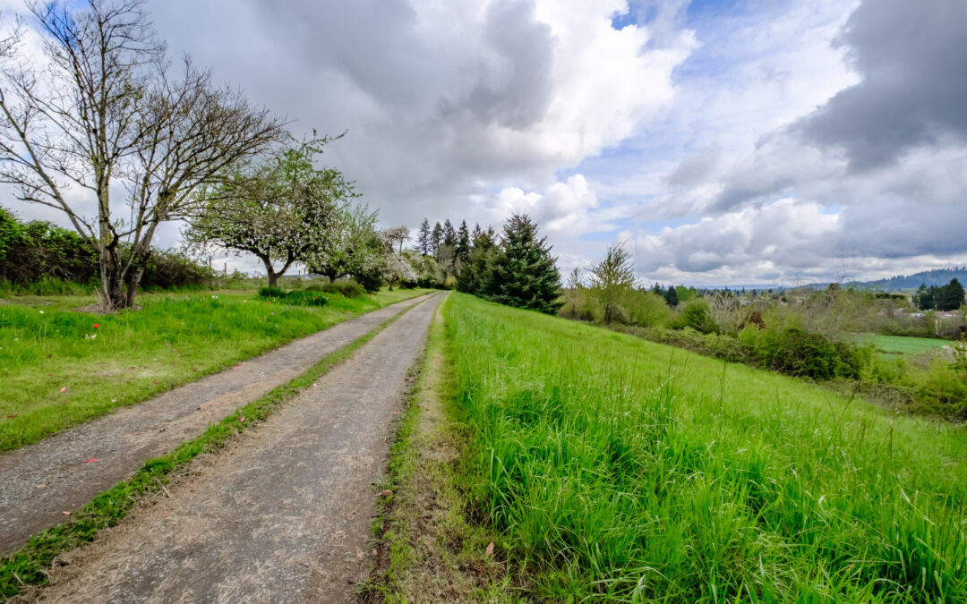 31721 Stoltz Hill Rd Lebanon, OR 97355