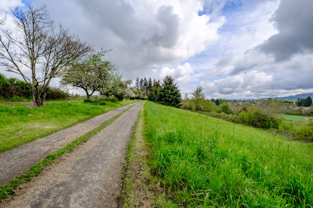 31721 Stoltz Hill Rd Lebanon, OR 97355