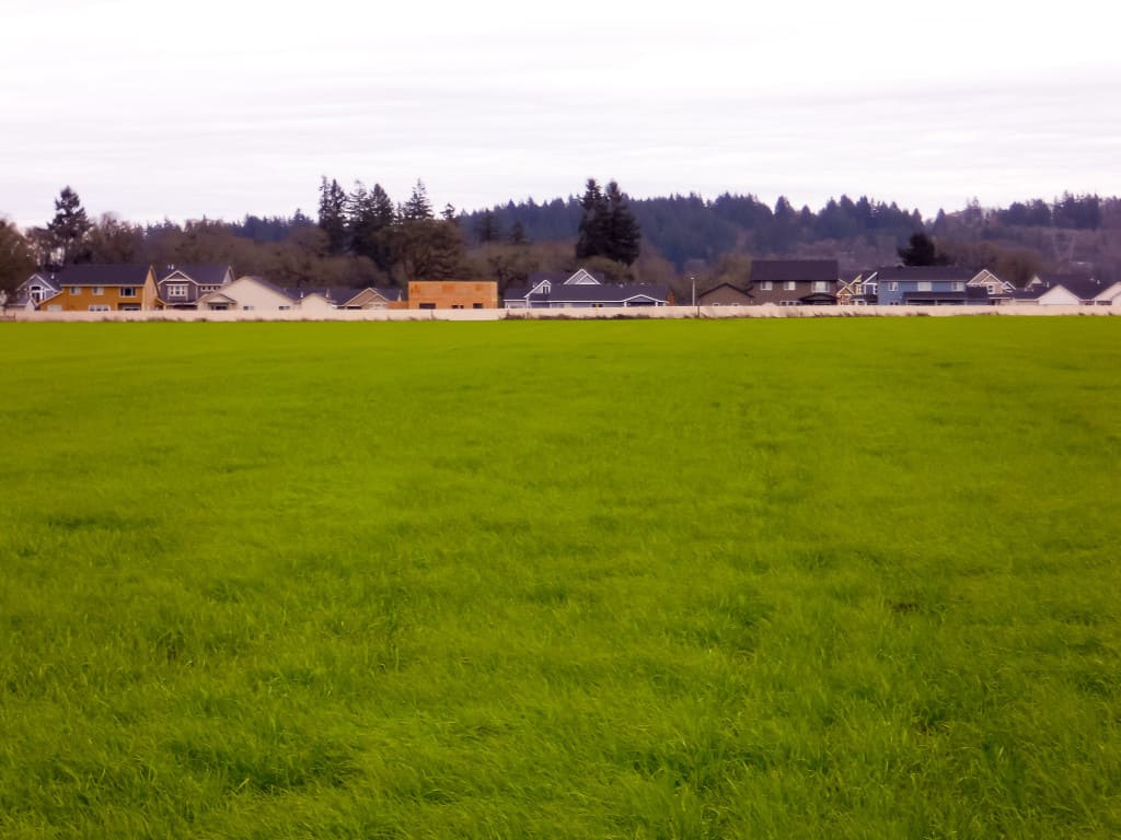 Farm land for sale in Albany Oregon Steve Helms, KW Farm and Ranch