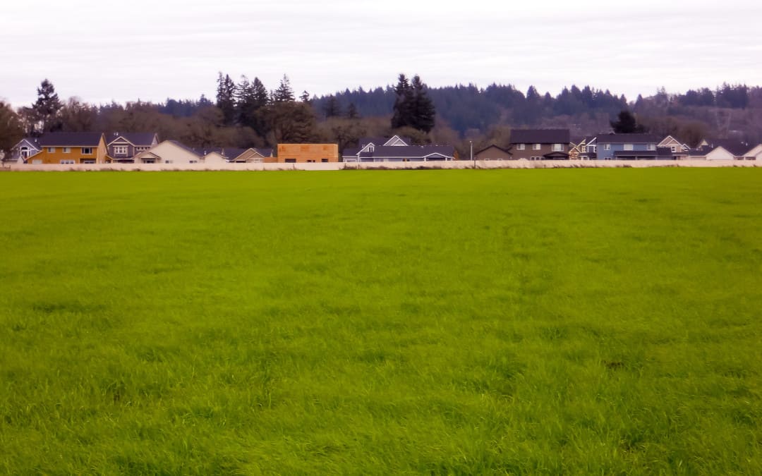 Millersburg Transition Farm