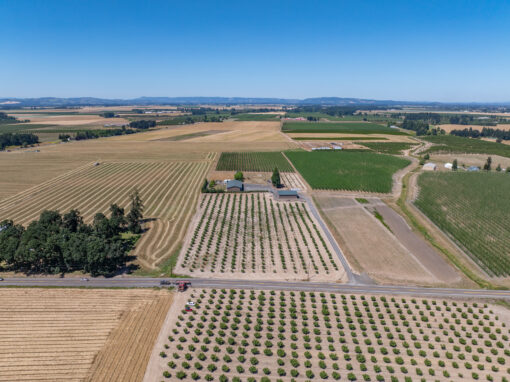 5295 St.Louis Road Gervais, OR