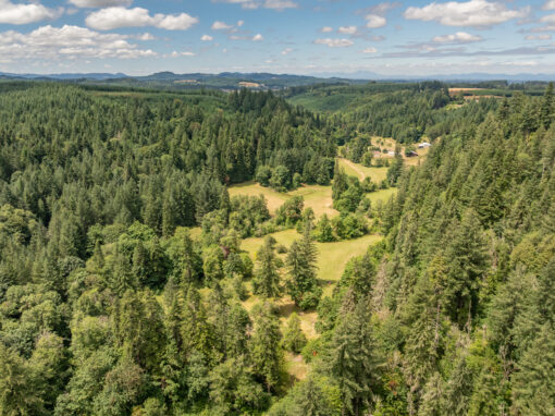 42051 Clark Smith Dr Lebanon, OR