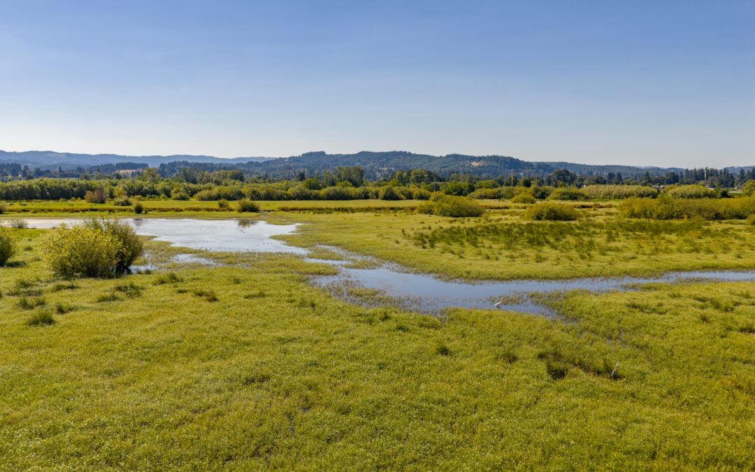 0 Duck Club Ct Scappoose