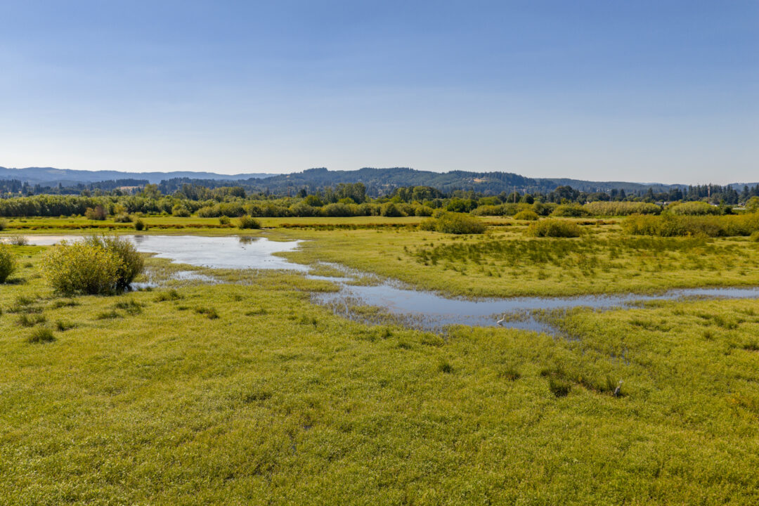 0 Duck Club Ct Scappoose