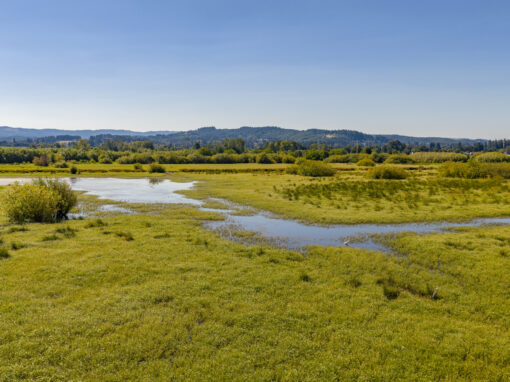 0 Duck Club Ct Scappoose