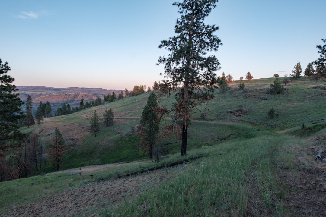 0 North Fork Road Monument, OR **PENDING**
