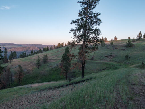 0 North Fork Road Monument, OR **PENDING**