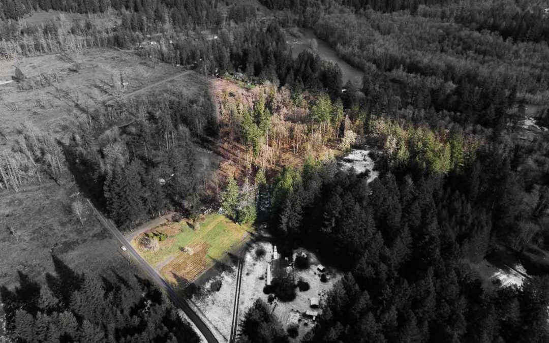 Fisherman Road Lyons Oregon