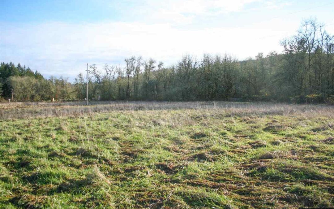 30183 Townsend (Next To) Parcel 2, Lebanon, Oregon 97355-9394