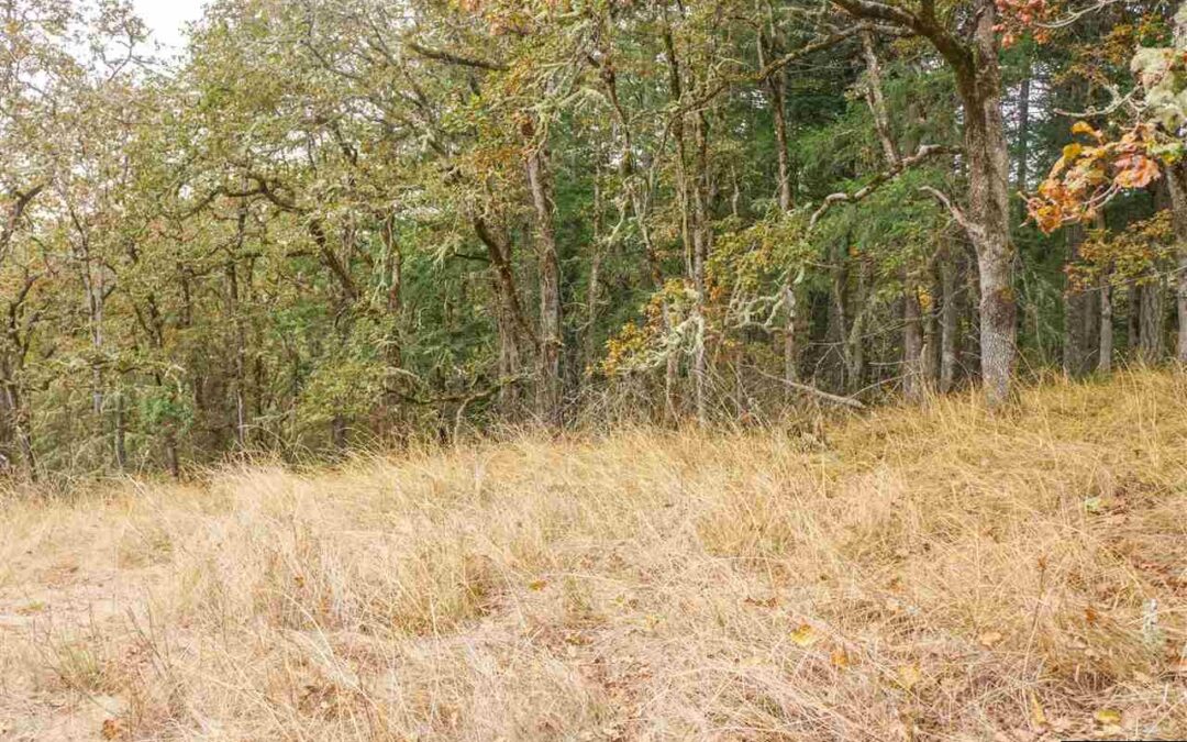 34910 Northernwood (Next To), Brownsville, Oregon 97327-9770