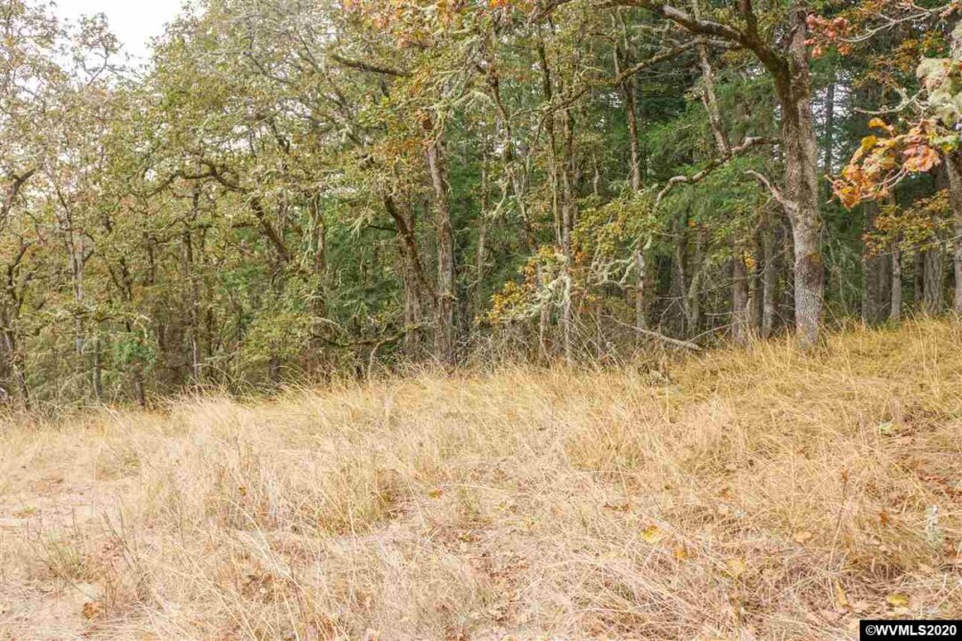 34910 Northernwood (Next To), Brownsville, Oregon 97327-9770