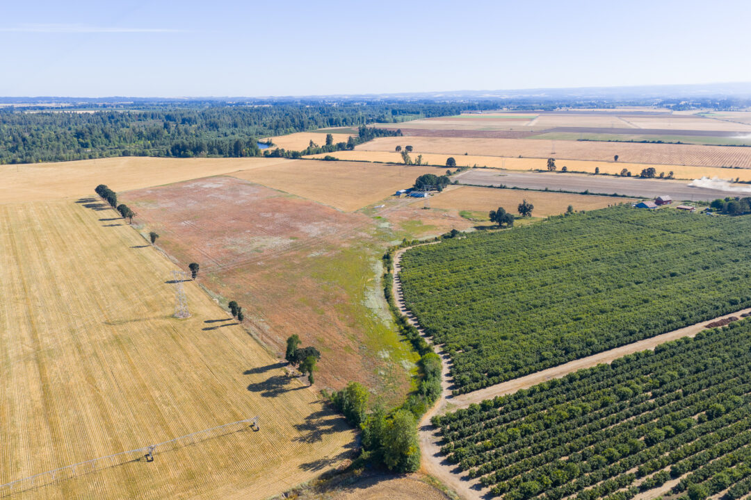 37225 Jefferson Scio Drive Scio, OR