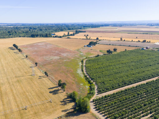 37225 Jefferson Scio Drive Scio, OR