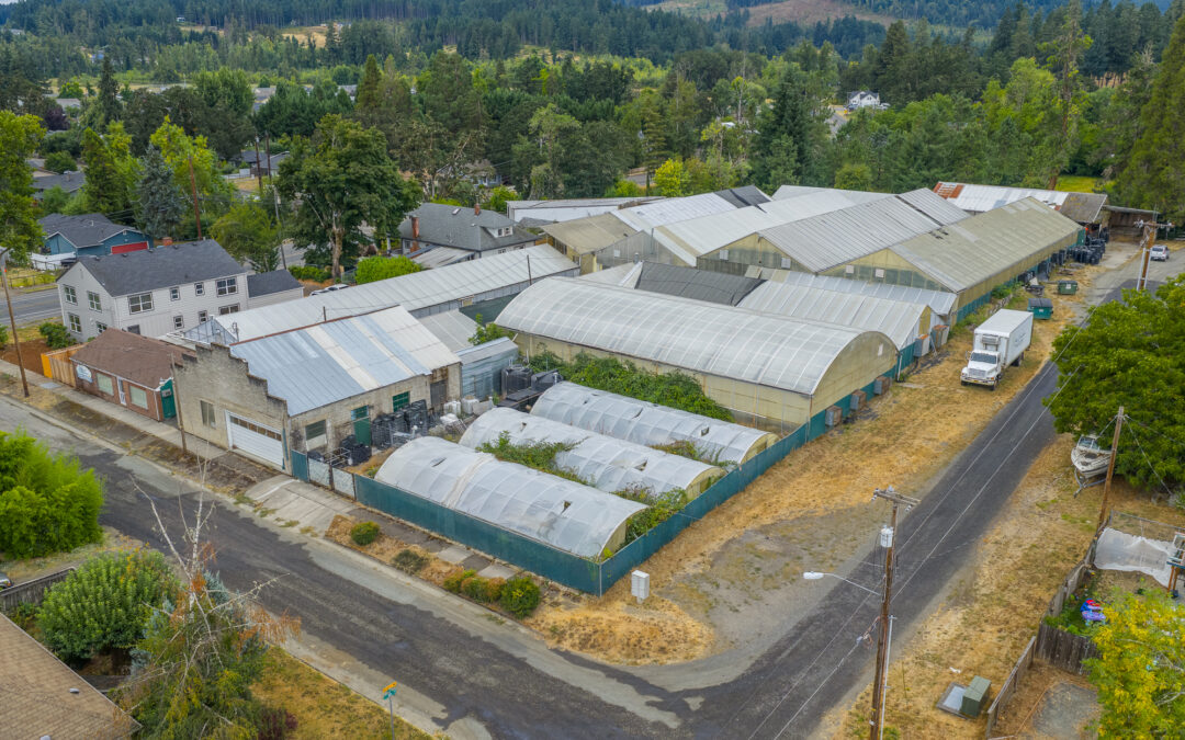 55 Q St, Cottage Grove