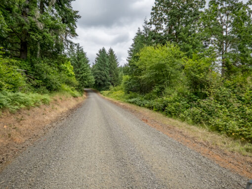 0 McTimmonds Road Dallas, OR **PENDING**