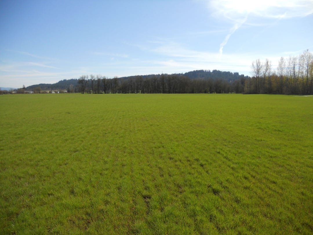 Scio Farm land for Sale12 Farm & Ranch Real Estate in Oregon