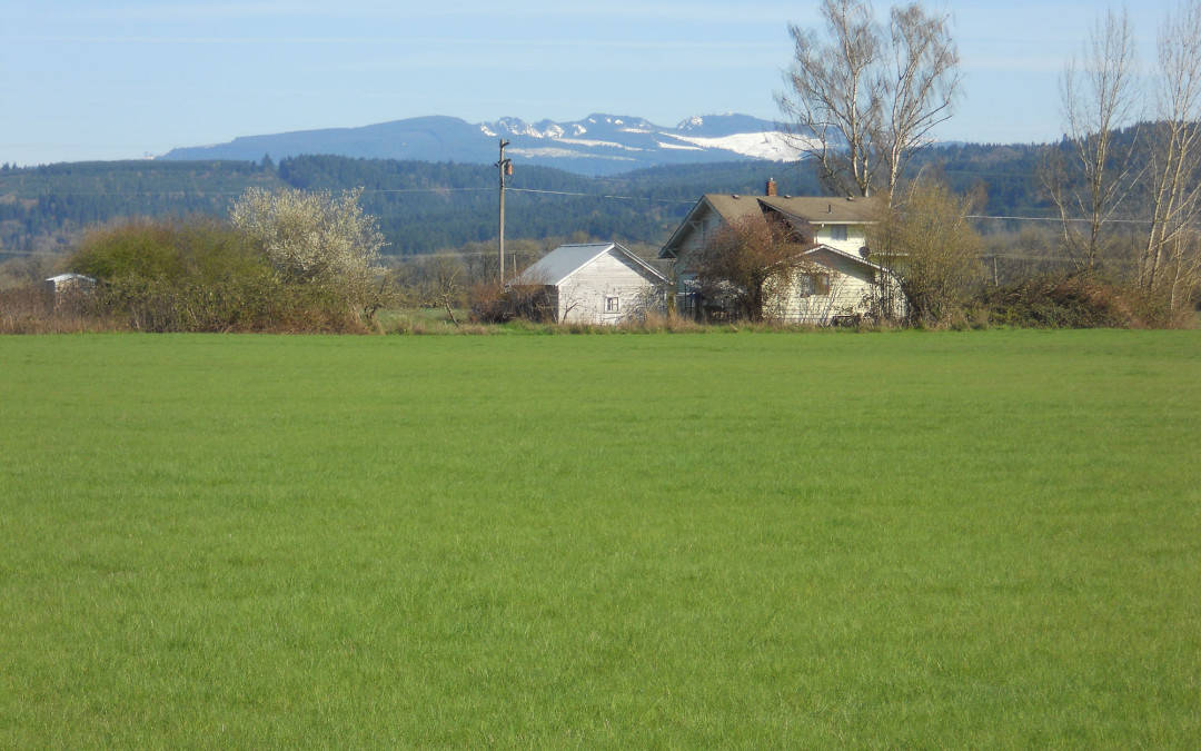 Scio Farm & Land – Sold