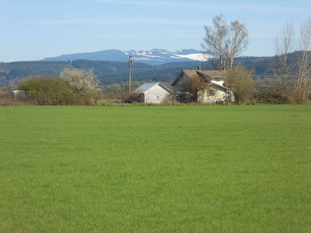 Scio Farm & Land – Sold