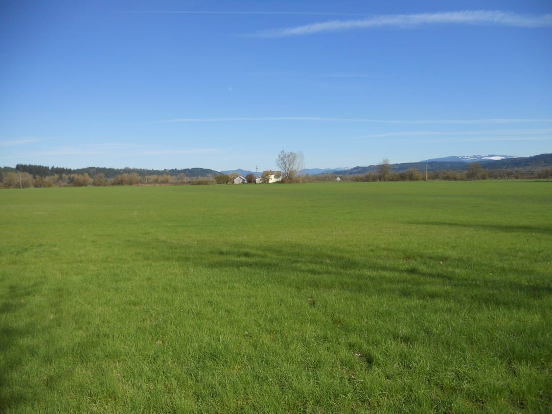 Scio Farm land for Sale8 Farm & Ranch Real Estate in Oregon