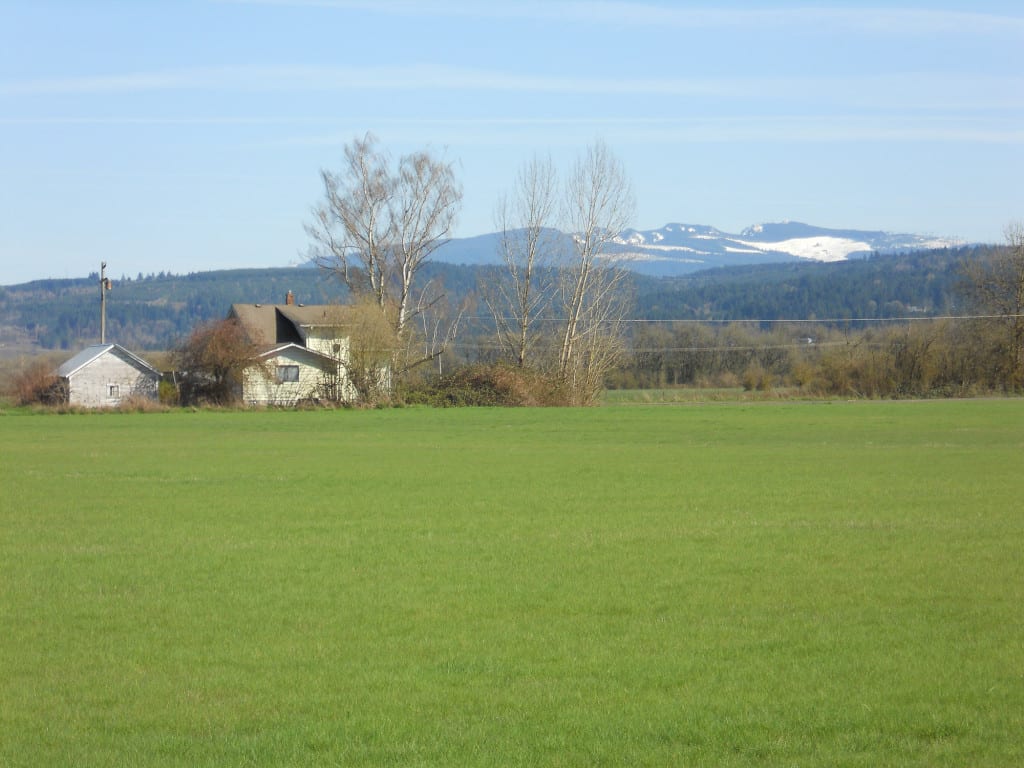 Scio Farm land for Sale9 Farm & Ranch Real Estate in Oregon