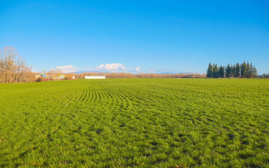 South Santiam River Farm