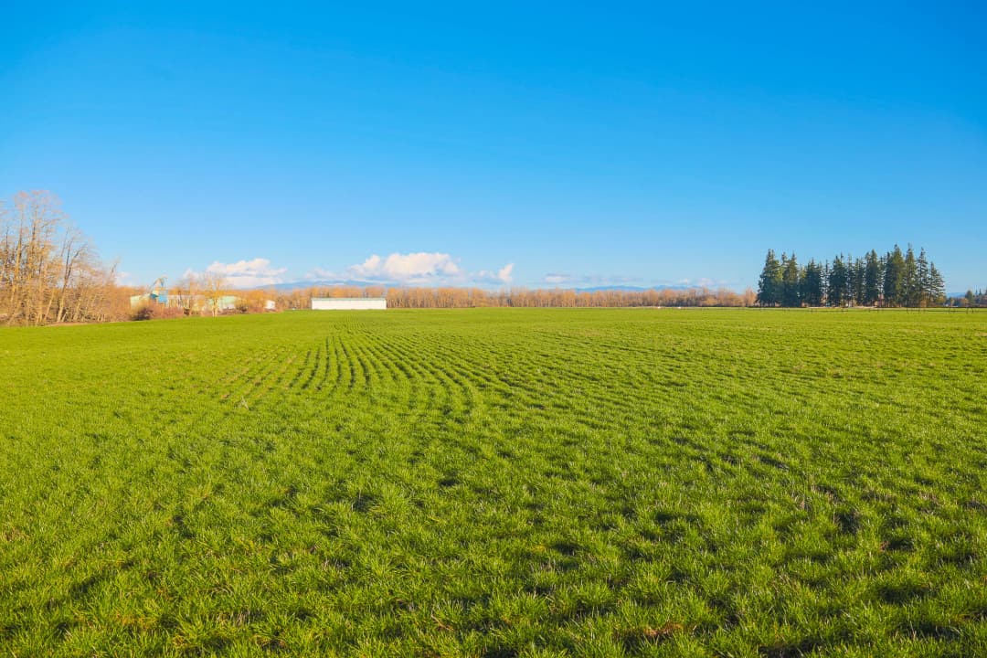 South Santiam River Farm