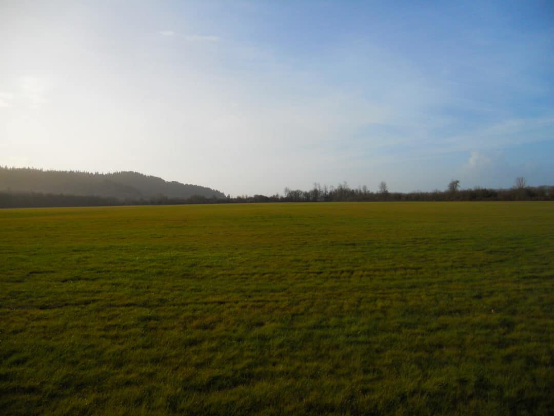 Willamette Valley Farmland in Oregon5 Farm & Ranch Real Estate in Oregon